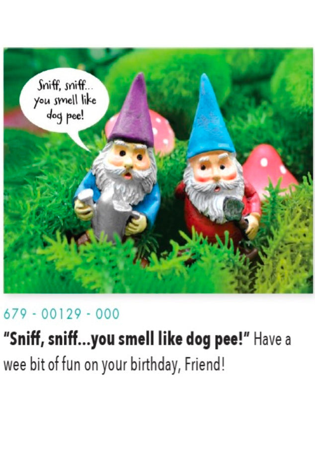 Birthday Humour